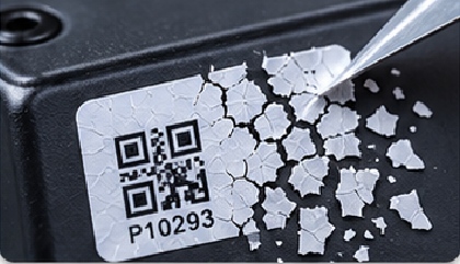 Eggshell Security Film