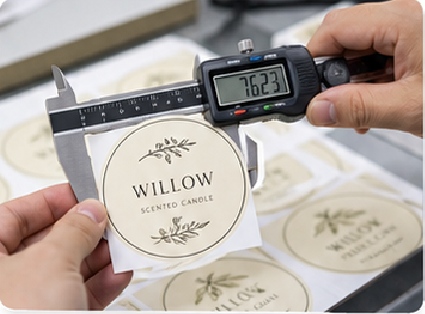 Die Cut And Dimensions