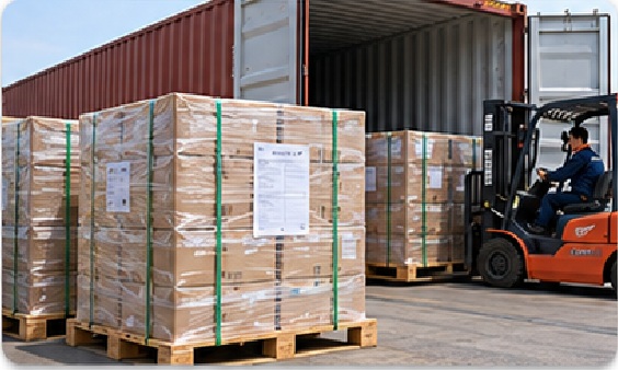 Sea Freight And Pallets