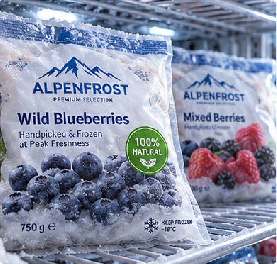Germany Frozen Food